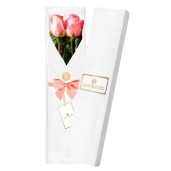 Rosas rosadas Amorecci