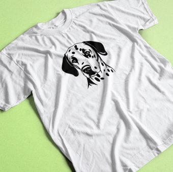 Polo Dálmata - Imagen 2